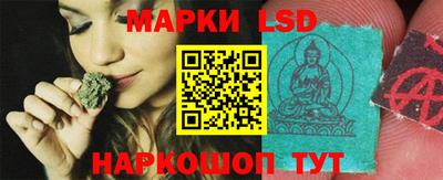 прущие грибы Комсомольск-на-Амуре