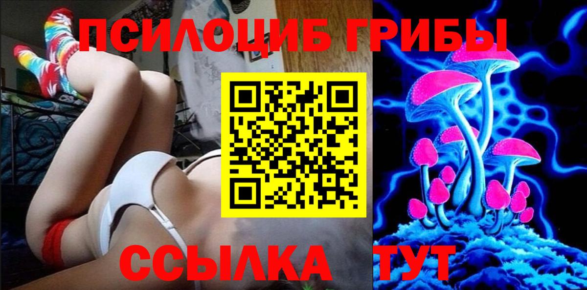 Галлюциногенные грибы Cubensis Находка